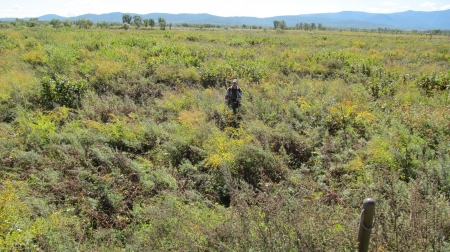 ������� ������-����������������� ������, �������� 2013